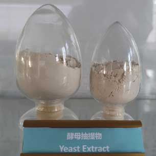 酵母抽提物（富含谷胱甘肽）