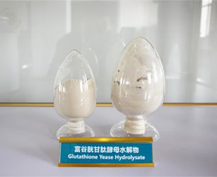 富谷胱甘肽酵母水解物
